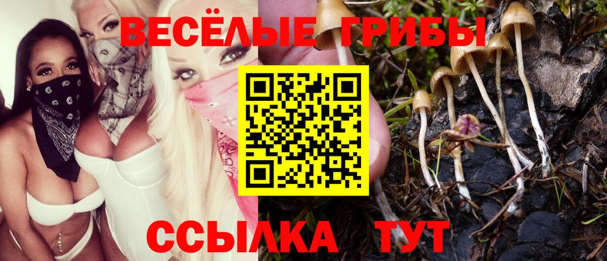 Зеленодольск  Галлюциногенные грибы прущие грибы  Вход с VPN  Галлюциногенные грибы Magic Shrooms 